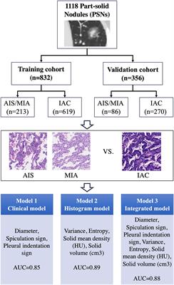 Artificial-intelligence-based computed tomography histogram analysis predicting tumor invasiveness of lung adenocarcinomas manifesting as radiological part-solid nodules
